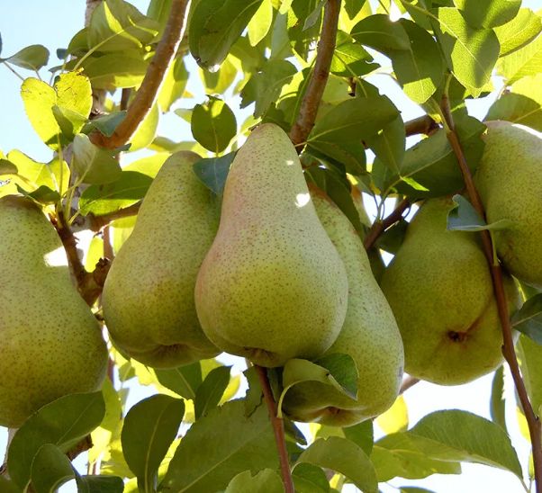 ����� � ����� ����: ������� ��������������� � ��������� ������