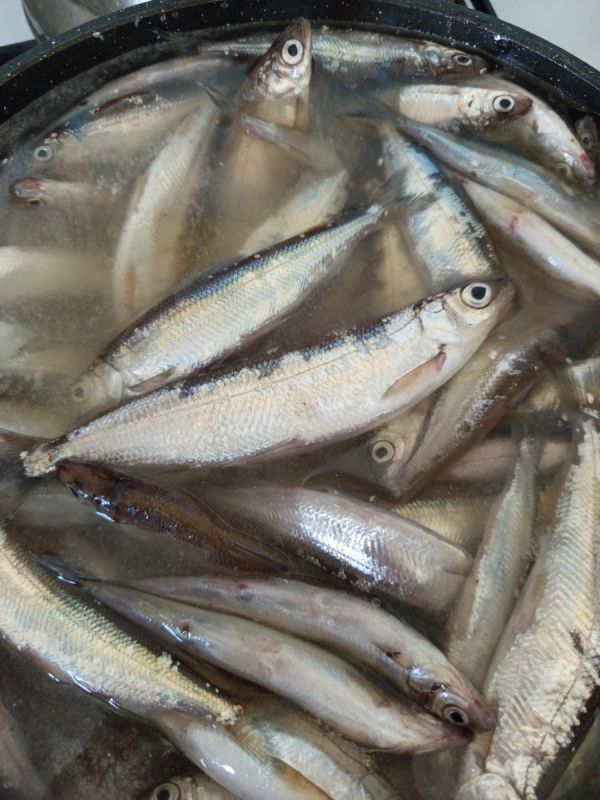 ��� ����������� ������� ��������� ������ ������� �����