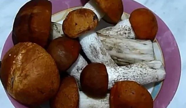 ������� ������ ����� ������: �� ���������� �� ��������