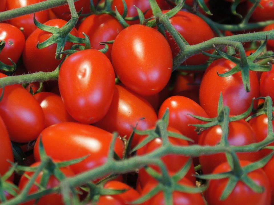 ��� ������� ��������� ����� ������� ��� ������ ����