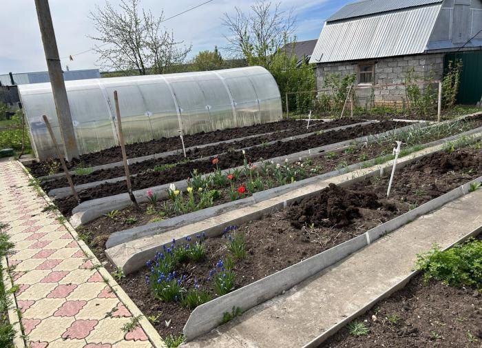 �������� ��� ����� �������� ������� ������ ����������