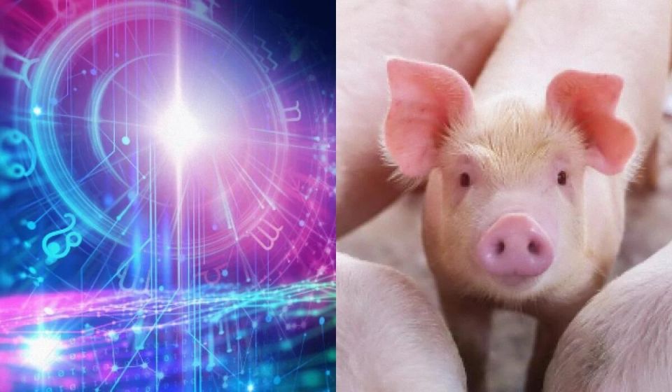 ����� ������� �������� ����� ������� � ������ ��� ����� �����