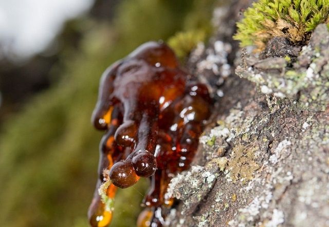 ��������� ����� �� ������ � ����: ������� ���� � ��������