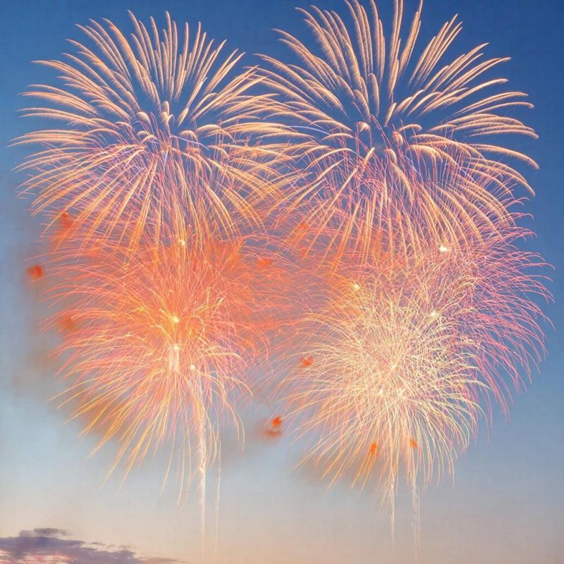 Минпромторг предлагает маркировку пиротехники с 2026 года и контроль оборота