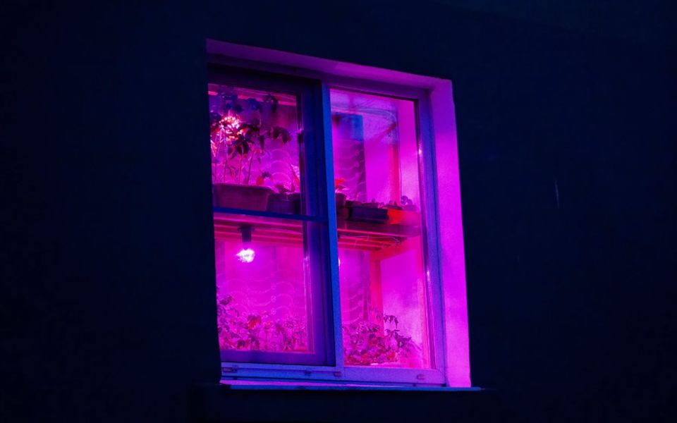 ��������� � ����: ����� ��������� �������, � ����� ����� �������� ��� ��