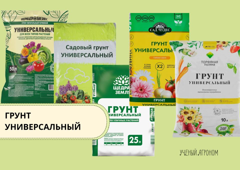 Грунт для рассады: как не перекресть универсальный подход