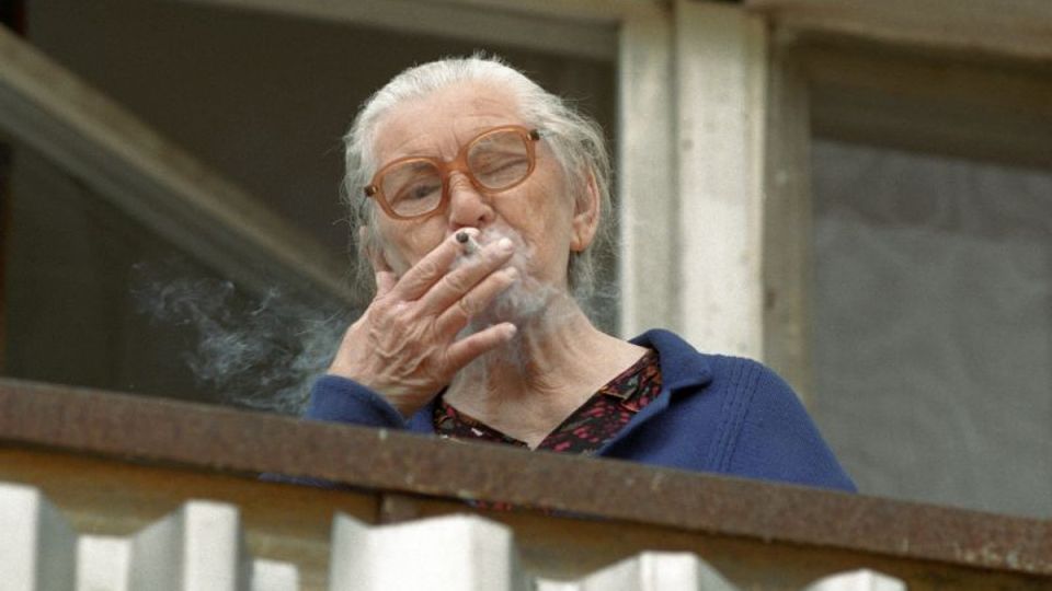 ��������� ��� ��� ���������: ��� ���������� ���� ������ � ����������