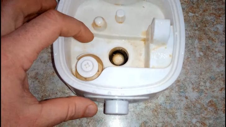 19 �������, ������������, ��� � ��� ���� ����, ��� � �������