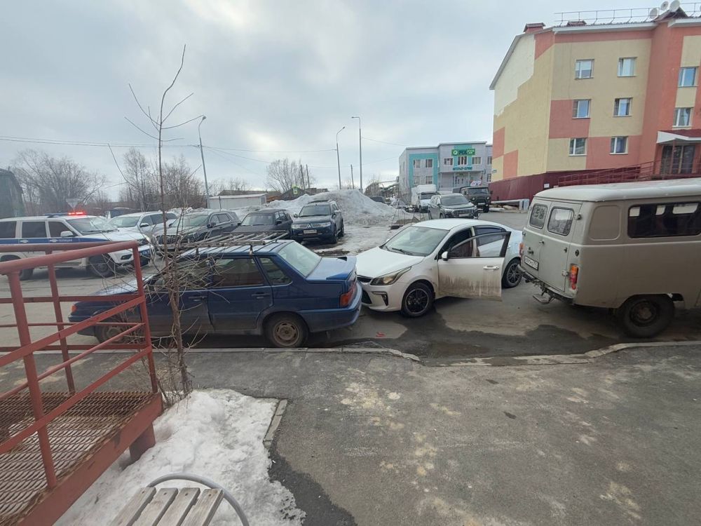      -    10 ,       