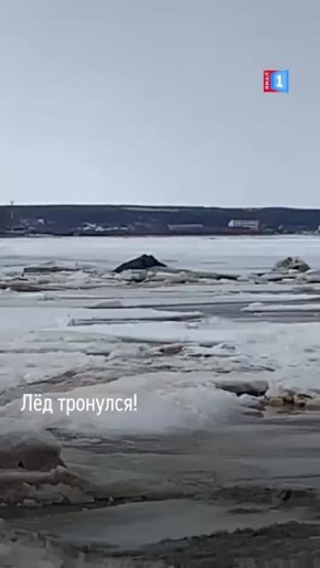 ˸ !.           
