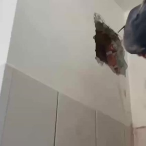   :      
