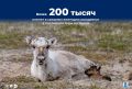 В ямальской тундре первые тысячные пополнения молодняка