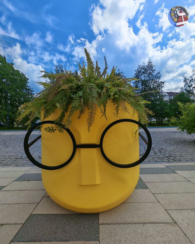     ,         !
