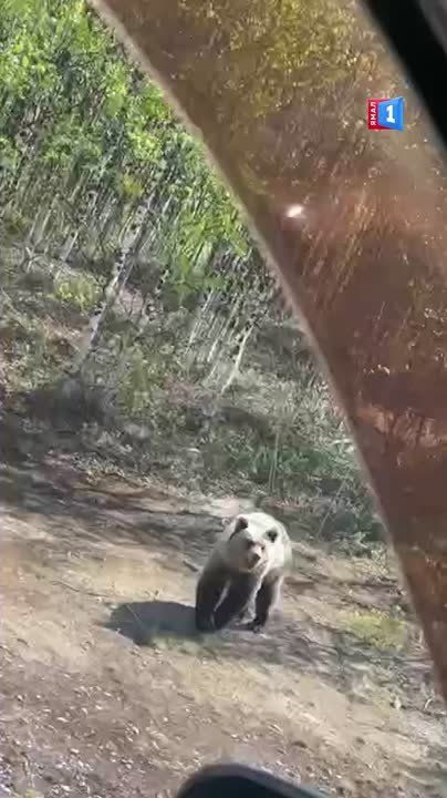   -  