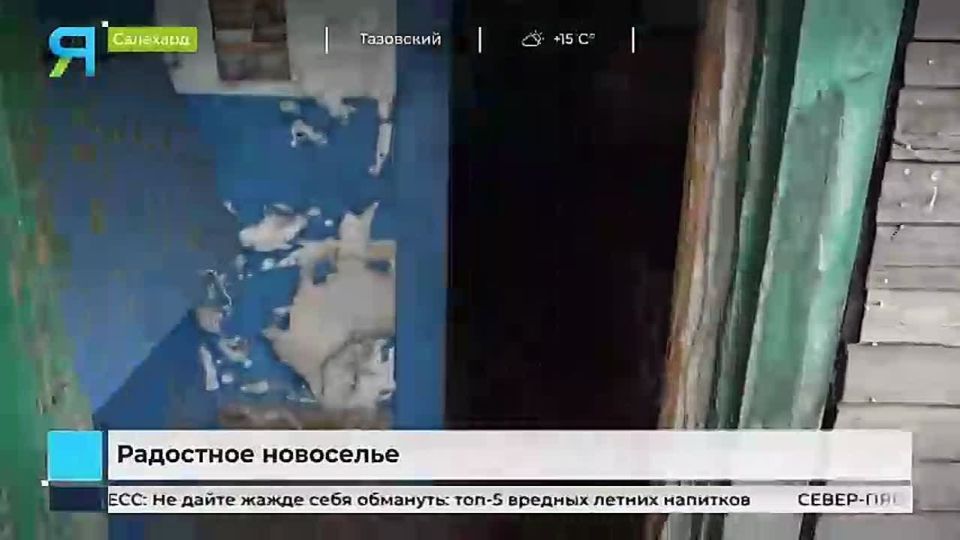    :     