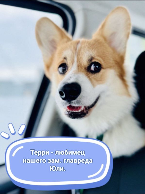 2  -   