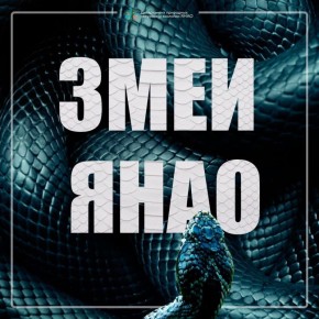       ,        ,     