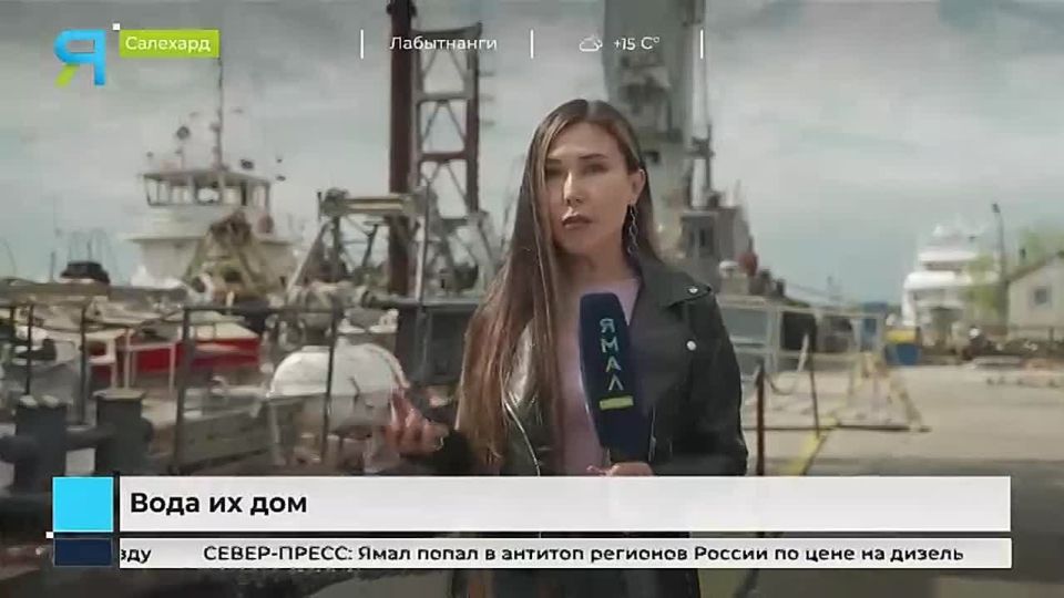  :     