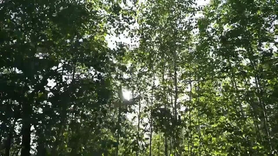  :     ,   !