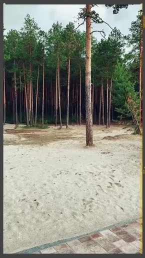          !      , ,    