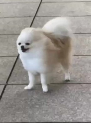 . 12   