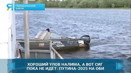  ,   :       