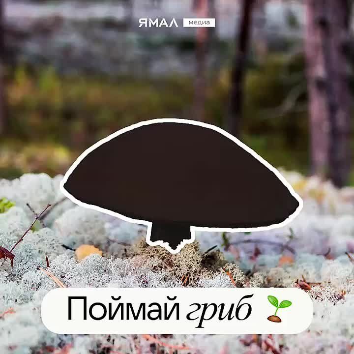    .        ?          