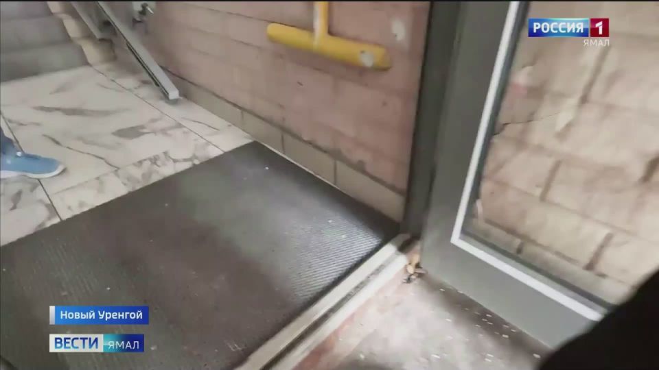 : ,    ,       