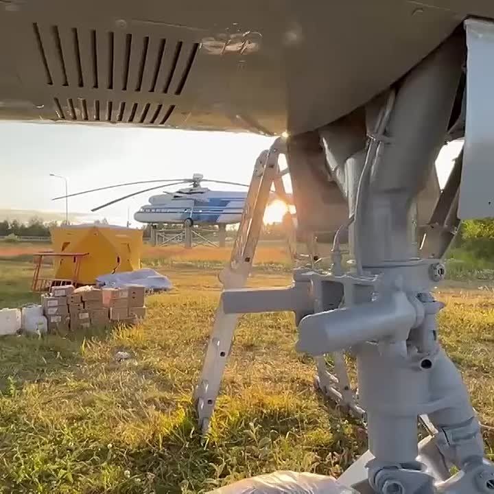        ,   .           