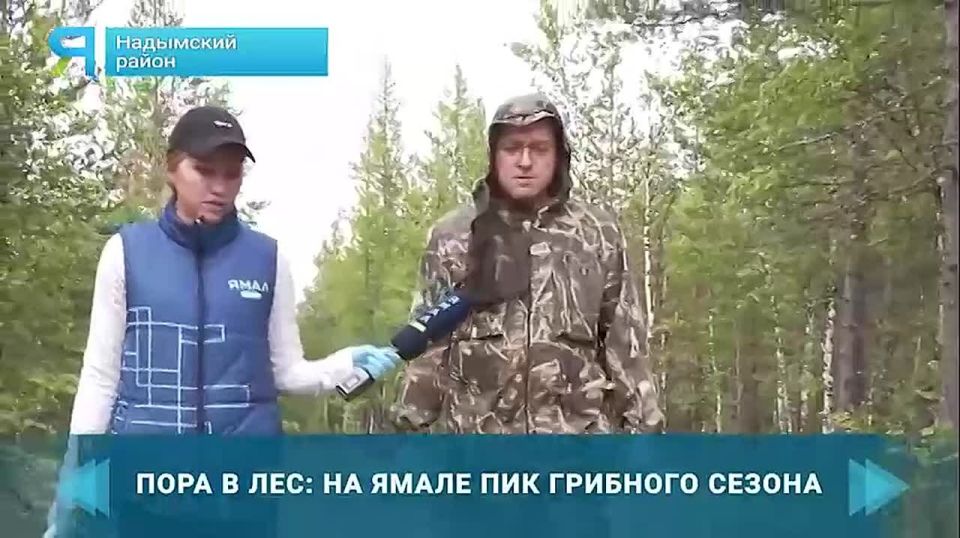    ,     :      