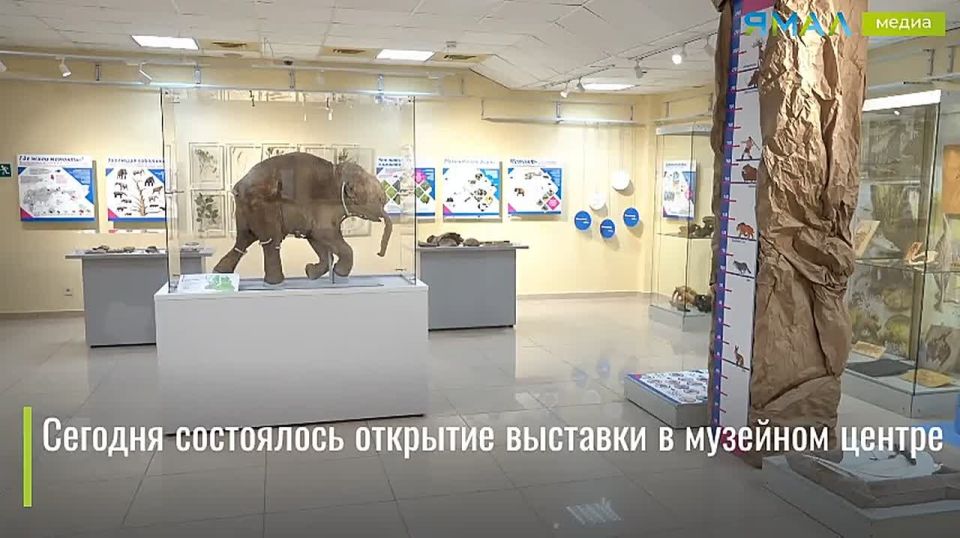   :     