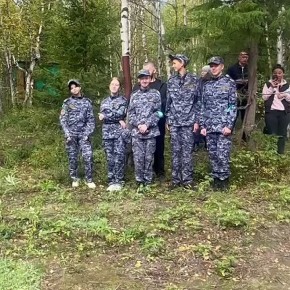  ,       ZV