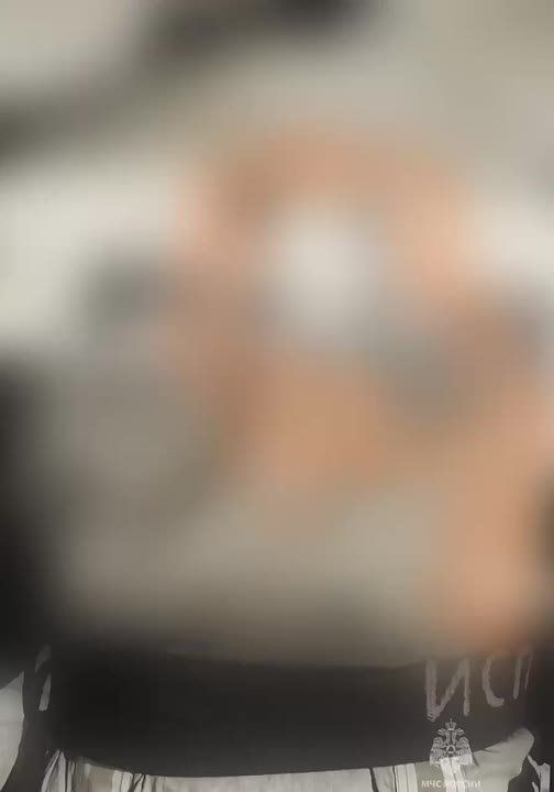  .         -  ( )
