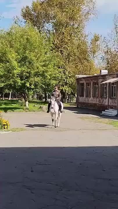   :       ,         