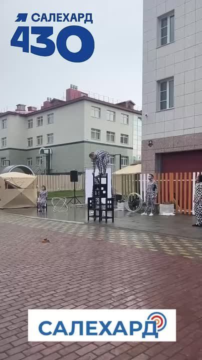 , , 