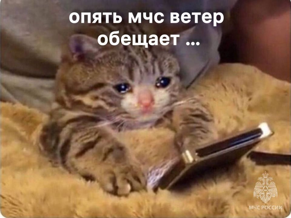    15        :  -,  8-13 /,     15-20 / (,  ...