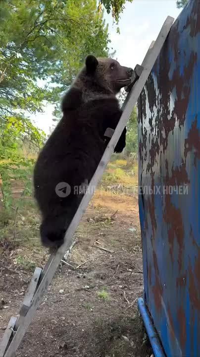  :          