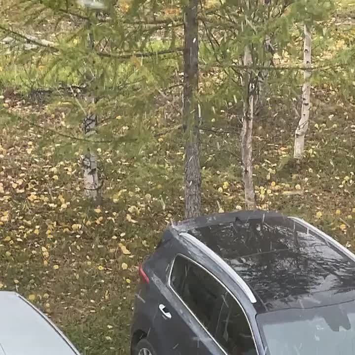      ....  ,   !     : ,   ?       .  ...       ...