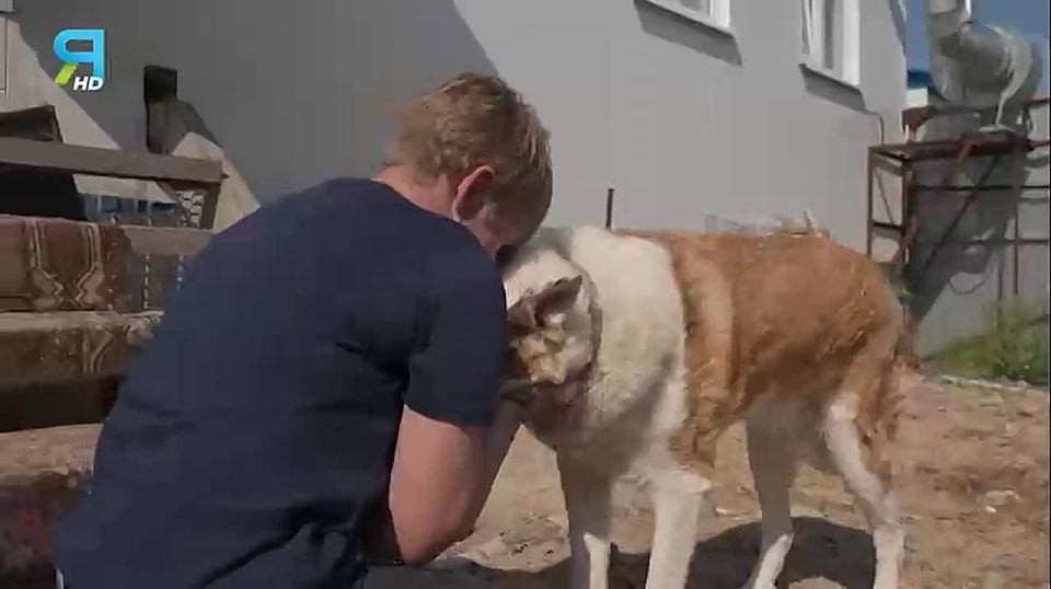     ,    