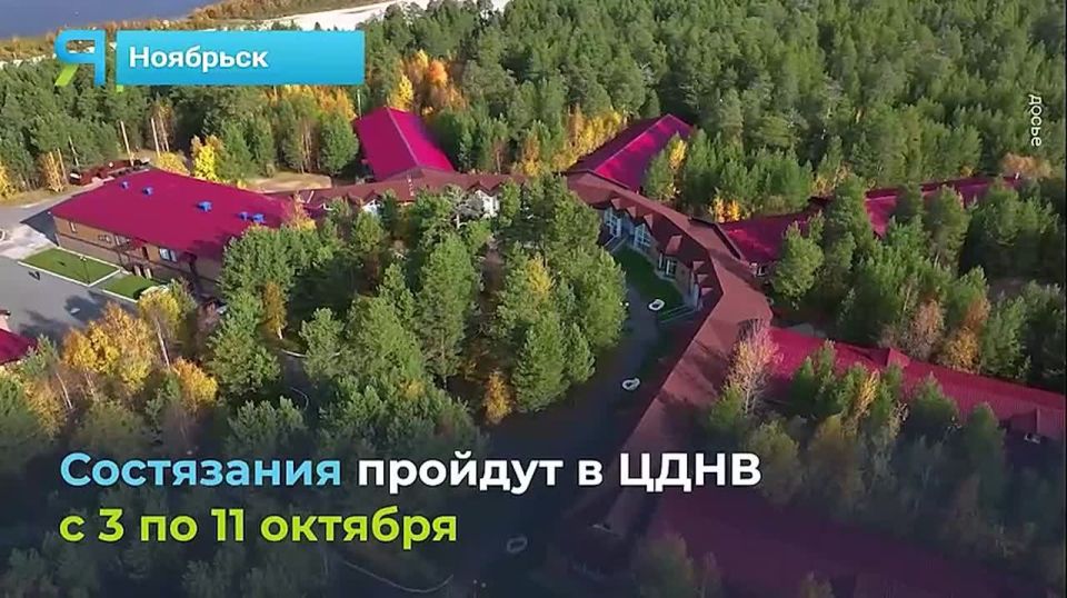    :     