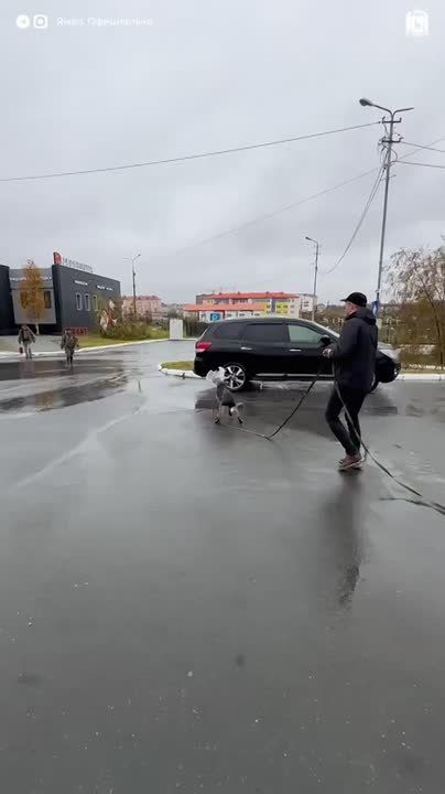 ,     