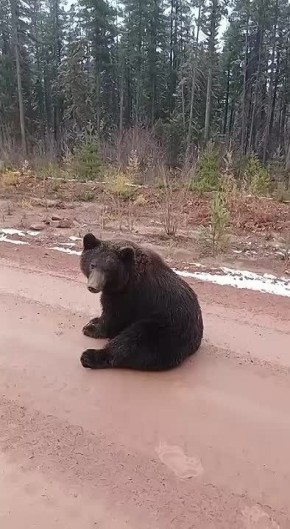       !