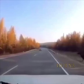 -     :