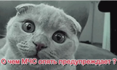    17        :