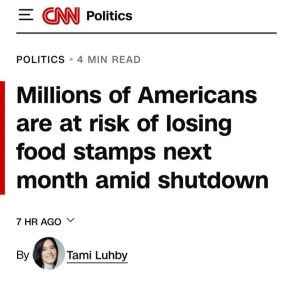 CNN: 42          - 