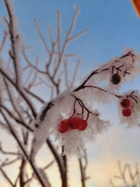   , .    - 4 C  + 0 C, ,  1-2 /