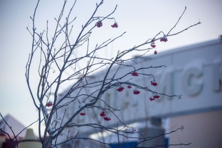   , .    - 4 C  + 1 C, ,  ,  1-3 /