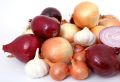Лук и чеснок под запретом: для кого полезные продукты — отрава