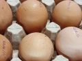 Зачем класть пустую коробку из-под яиц в холодильник: хитрый трюк, о котором знают не все