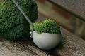 Запеканка: как готовят с брокколи настоящие мастерицы кухни